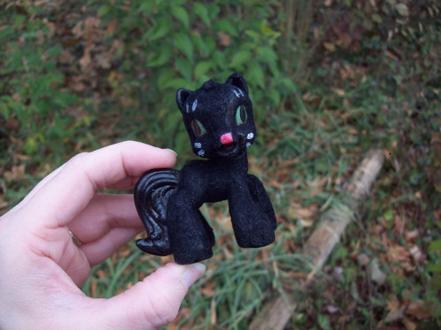 Blackie Cat Pony